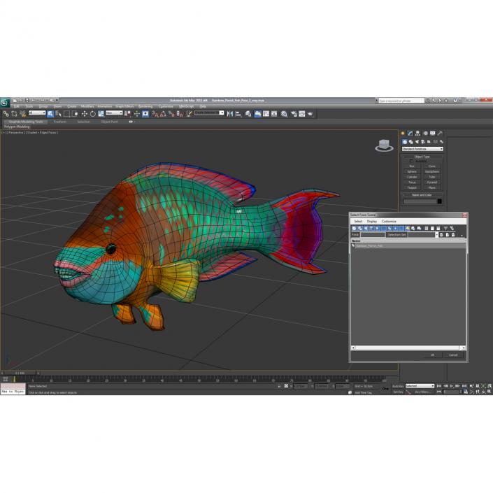 3D Rainbow Parrot Fish Pose 2