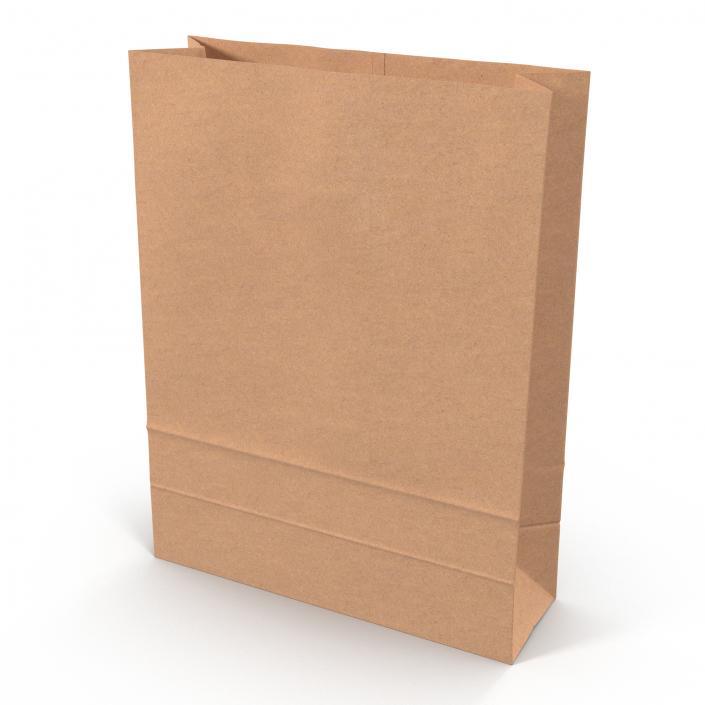 3D Paper Bag 5