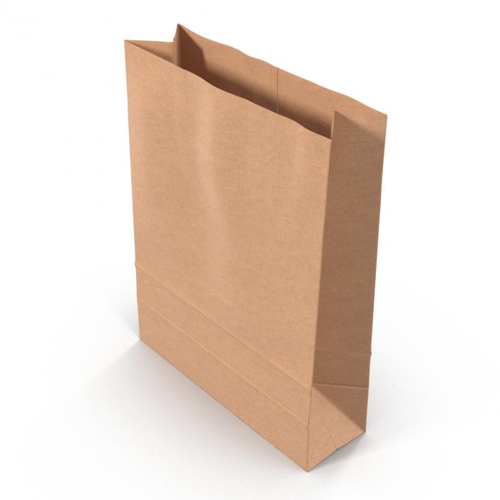 3D Paper Bag 5