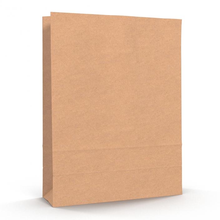 3D Paper Bag 5