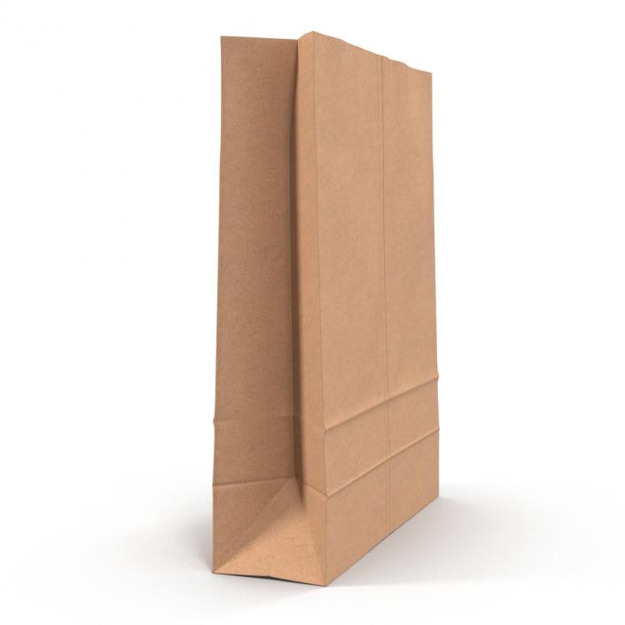 3D Paper Bag 5