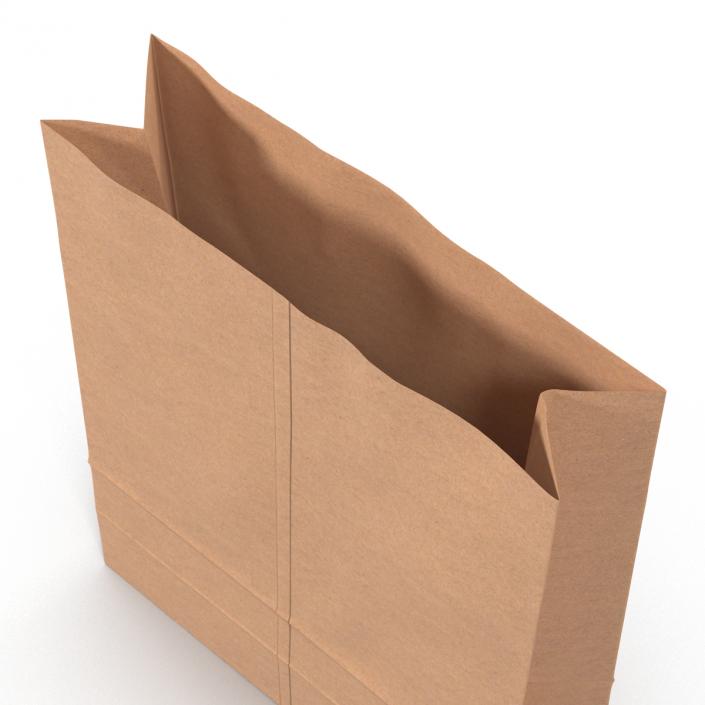 3D Paper Bag 5