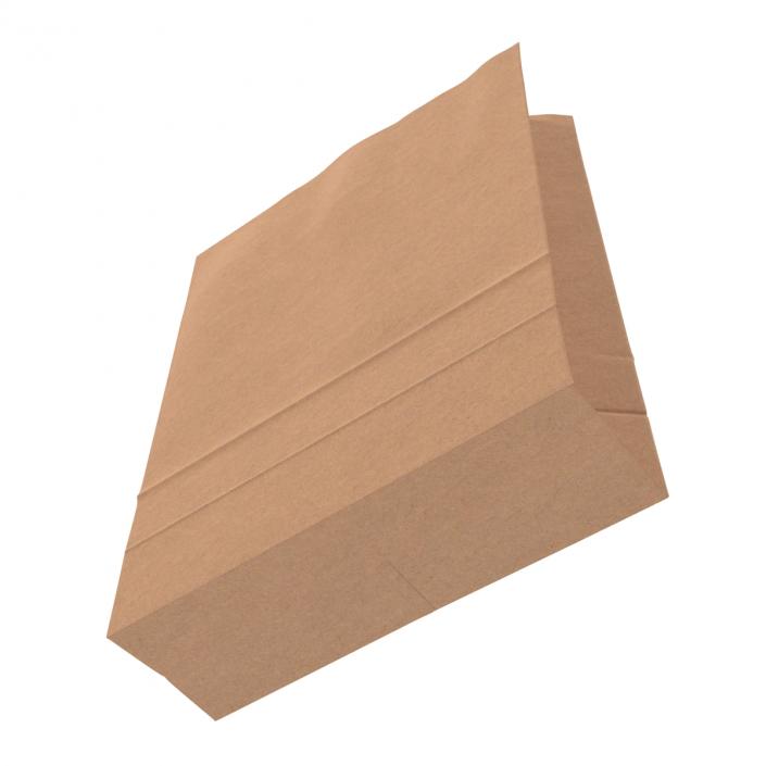 3D Paper Bag 5