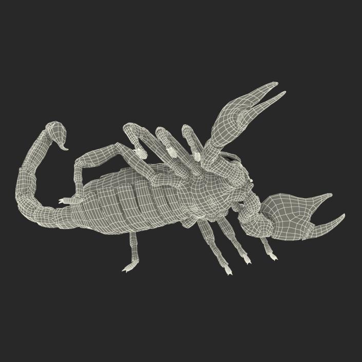 3D Black Scorpion with Fur model