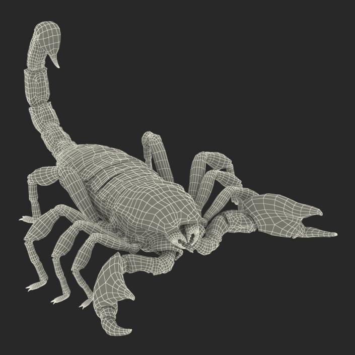 3D Black Scorpion with Fur model