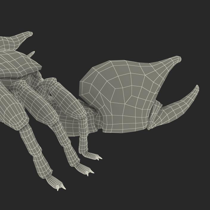 3D Black Scorpion with Fur model