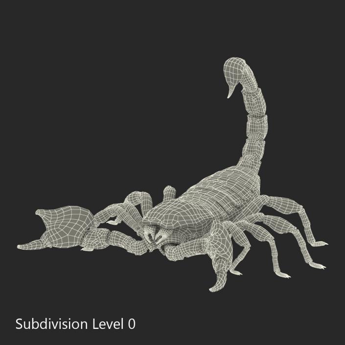 3D model Black Scorpion Pose 2 with Fur