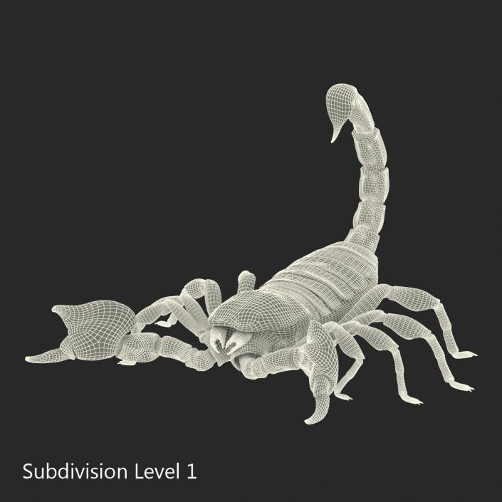 3D model Black Scorpion Pose 2 with Fur