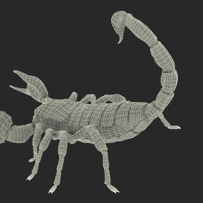 3D model Black Scorpion Pose 2 with Fur