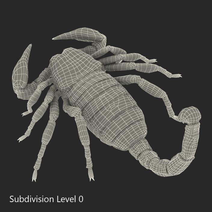 3D model Black Scorpion Pose 3 with Fur