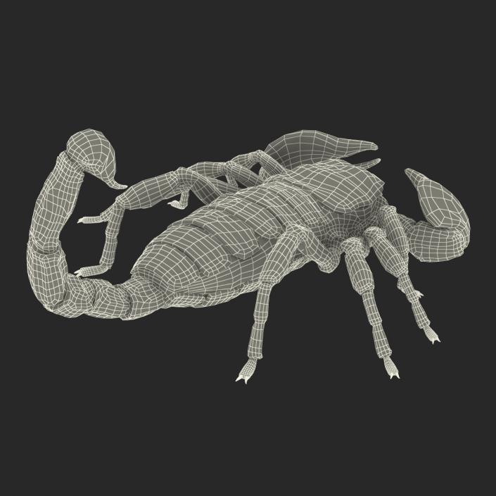 3D model Black Scorpion Pose 3 with Fur