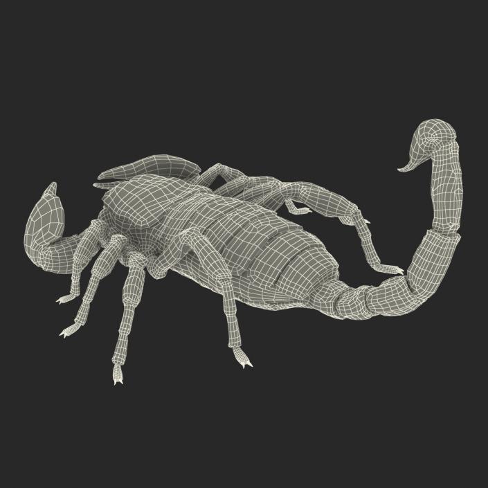 3D model Black Scorpion Pose 3 with Fur