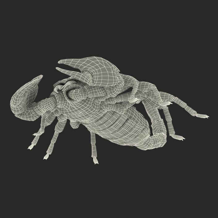 3D model Black Scorpion Pose 3 with Fur