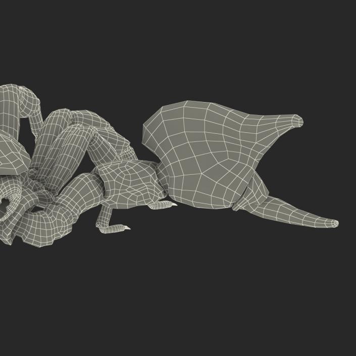 3D Black Scorpion Pose 2