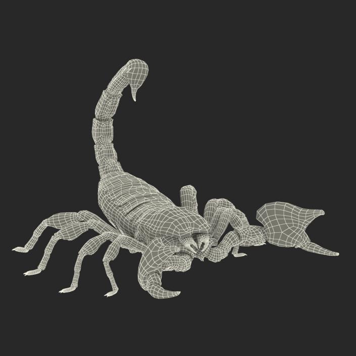 3D Black Scorpion Pose 2