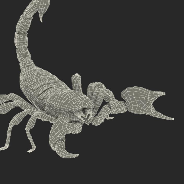 3D Black Scorpion Pose 2