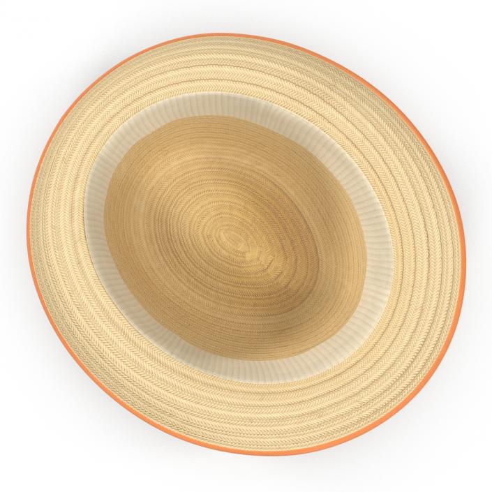 3D Womens Straw Hat