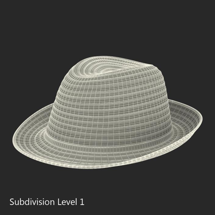 3D Womens Straw Hat