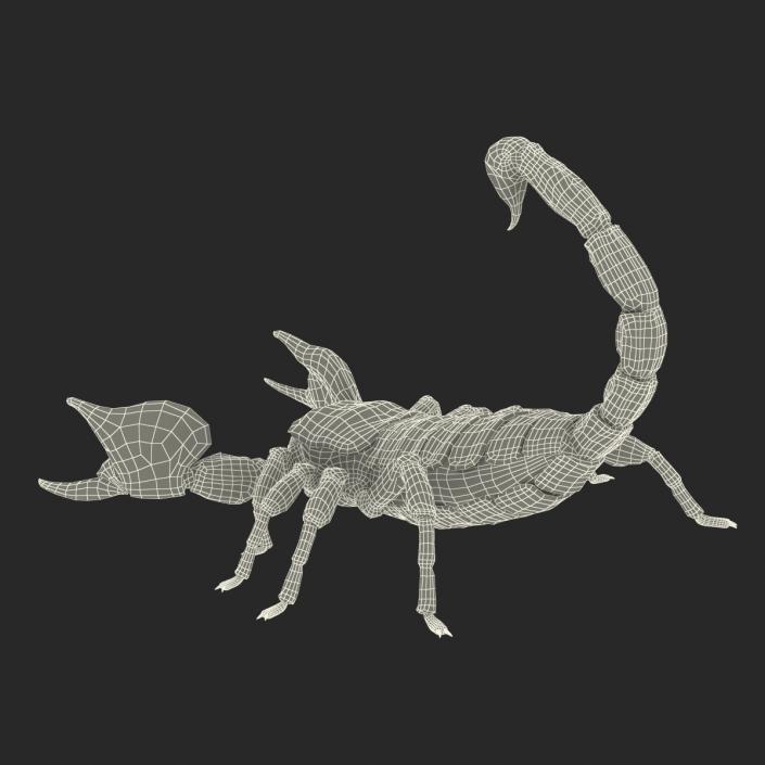 3D model Scorpion Pose 2