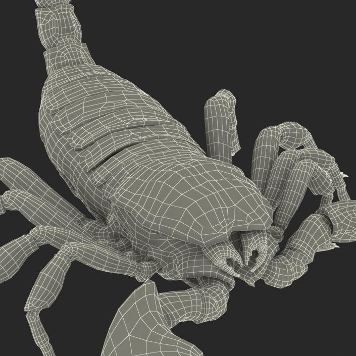 3D model Scorpion Pose 2