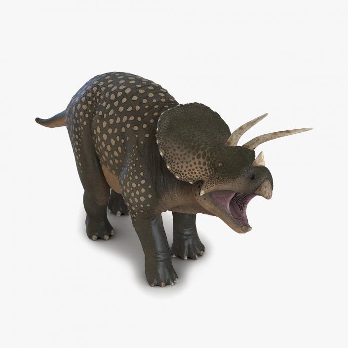 3D Triceratops Pose 2 model