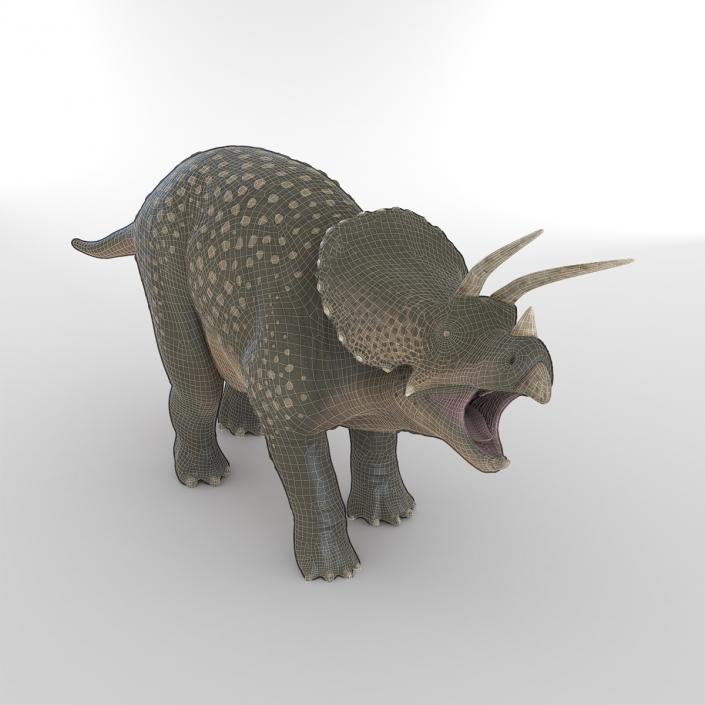 3D Triceratops Pose 2 model