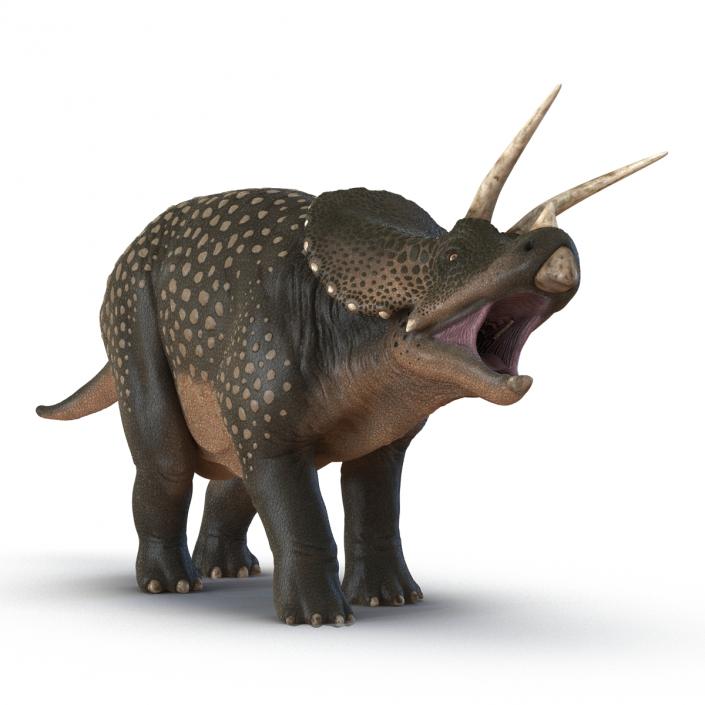 3D Triceratops Pose 2 model