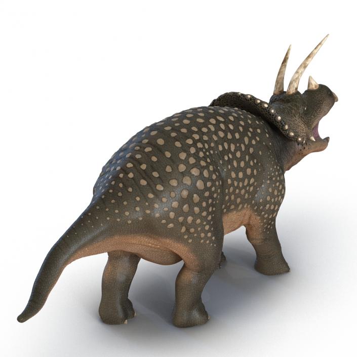 3D Triceratops Pose 2 model