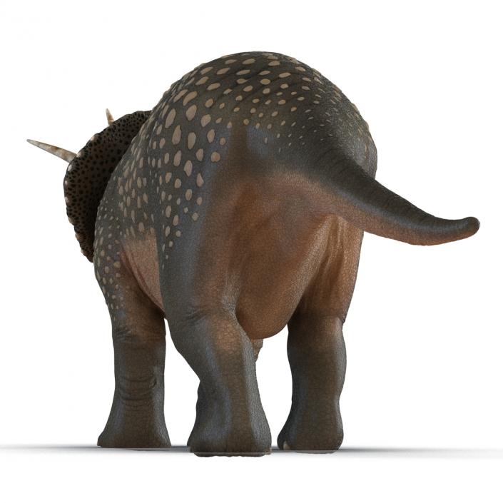 3D Triceratops Pose 2 model