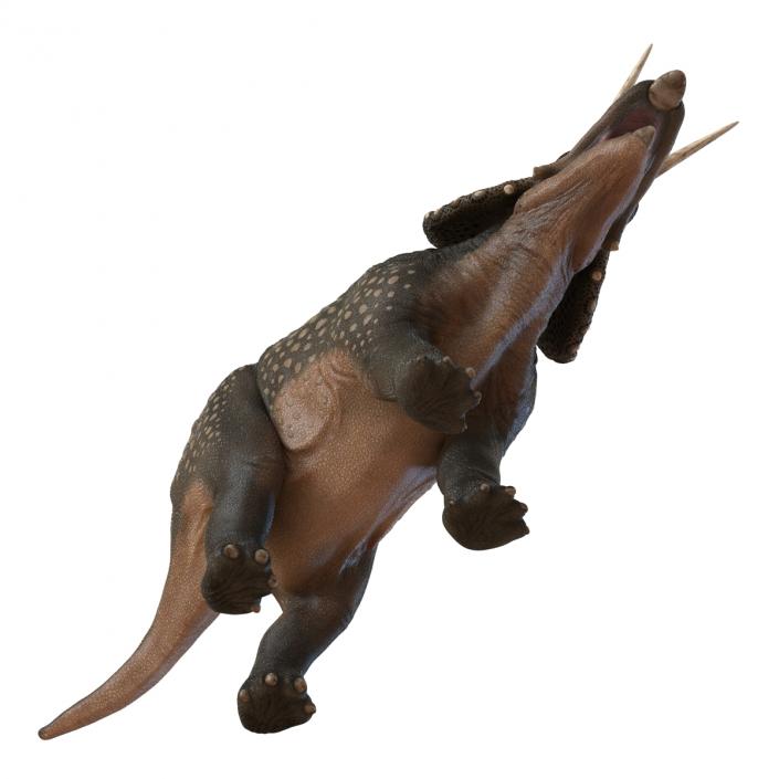 3D Triceratops Pose 2 model