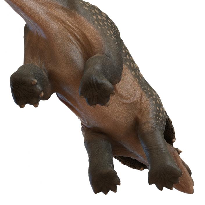 3D Triceratops Pose 2 model