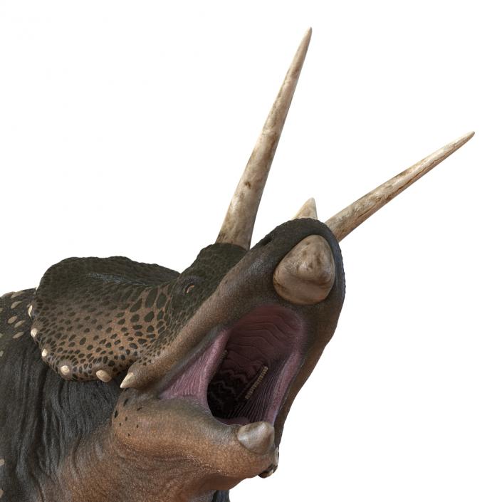 3D Triceratops Pose 2 model