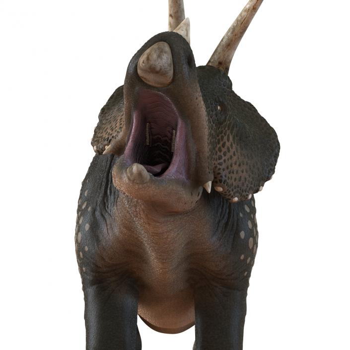 3D Triceratops Pose 2 model