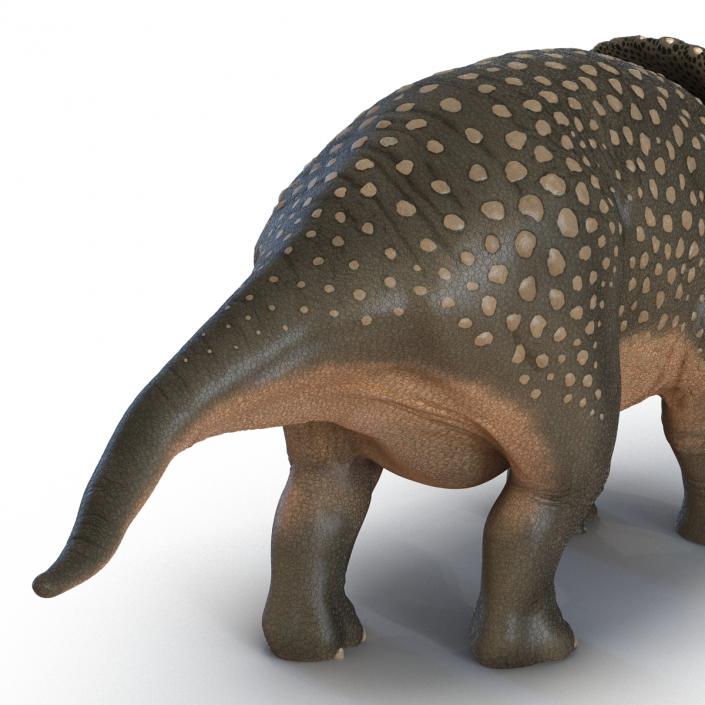 3D Triceratops Pose 2 model