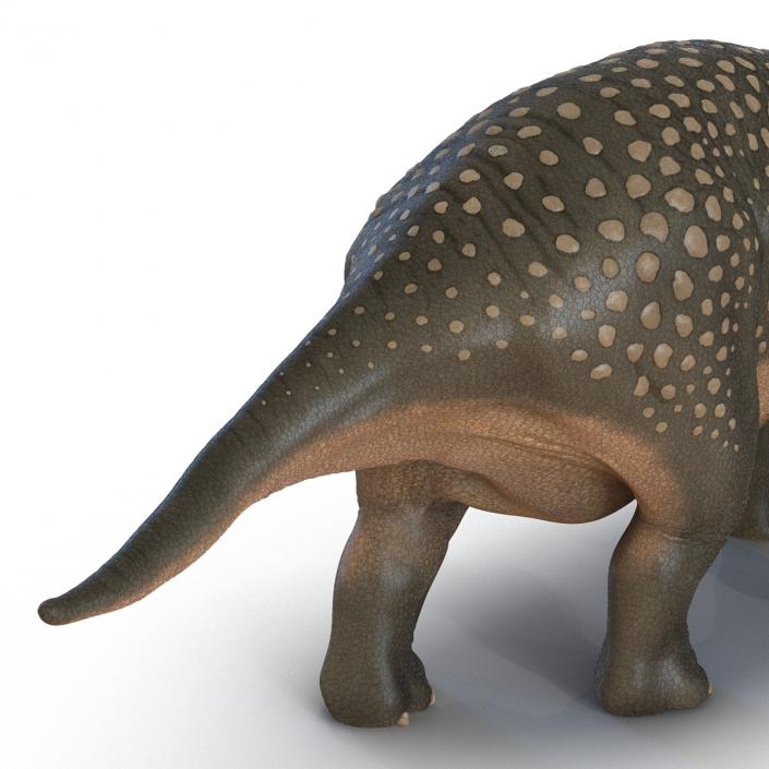 3D Triceratops Pose 3 model