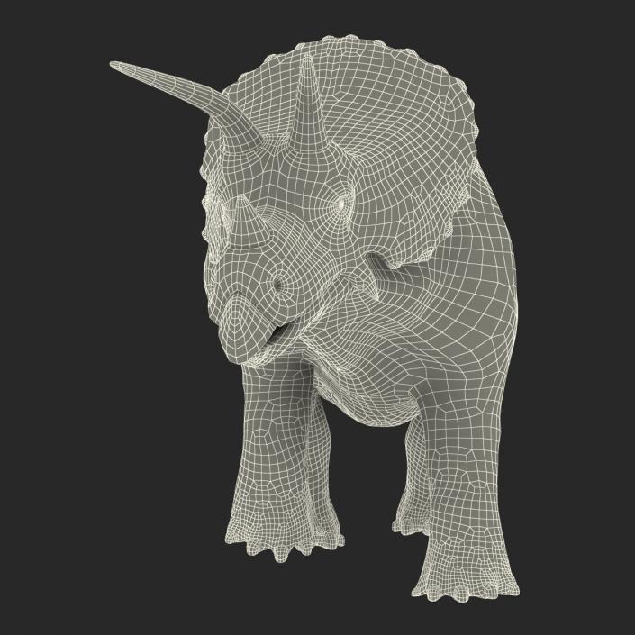 3D Triceratops Pose 3 model