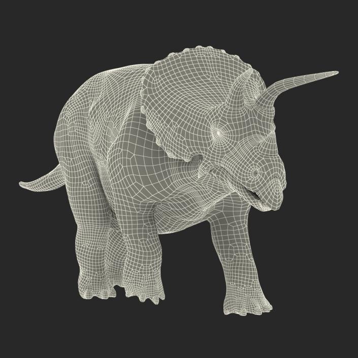 3D Triceratops Pose 3 model