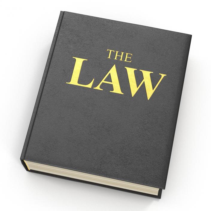 3D model Law Book