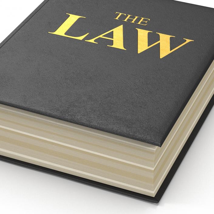 3D model Law Book