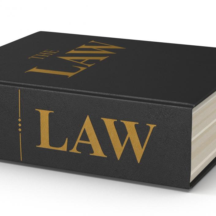 3D model Law Book