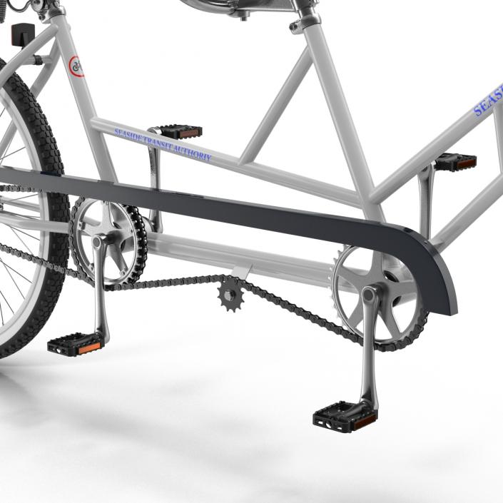 3D Bicycle Built for Two Rigged model