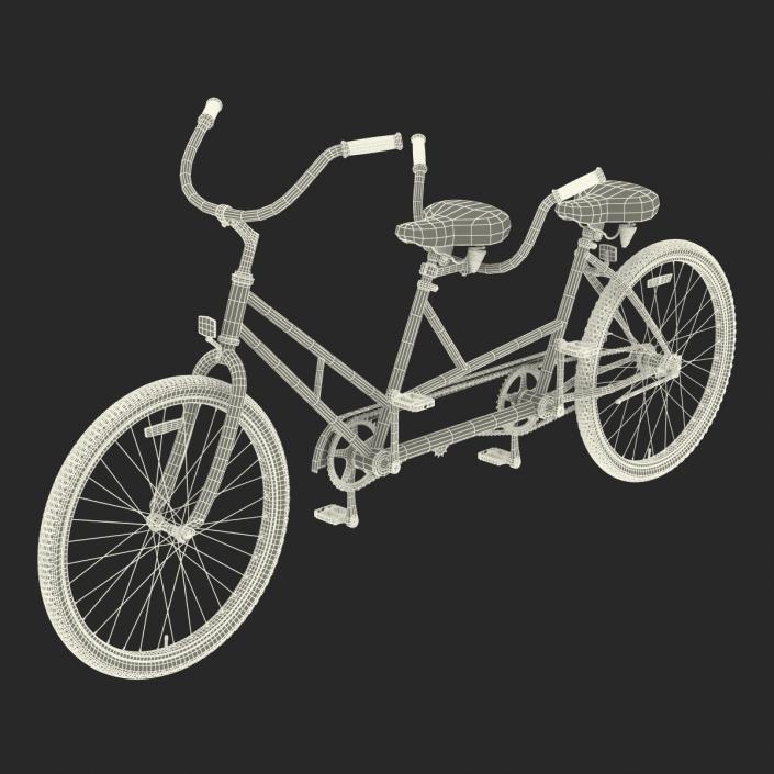 3D Bicycle Built for Two Rigged model