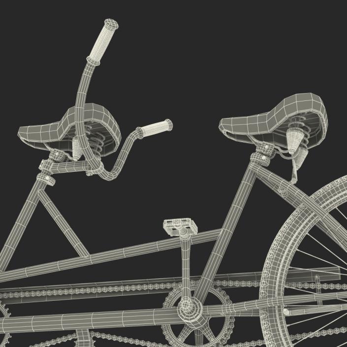 3D Bicycle Built for Two Rigged model