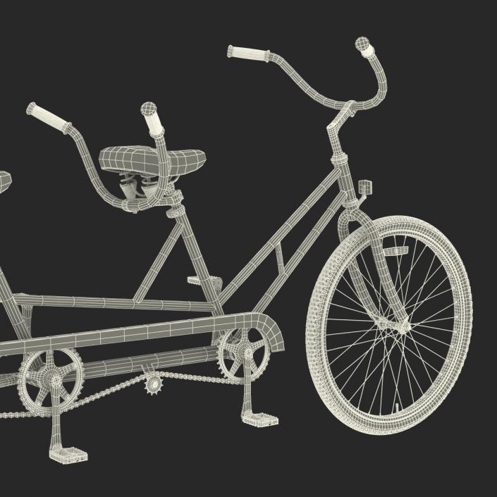 3D Bicycle Built for Two