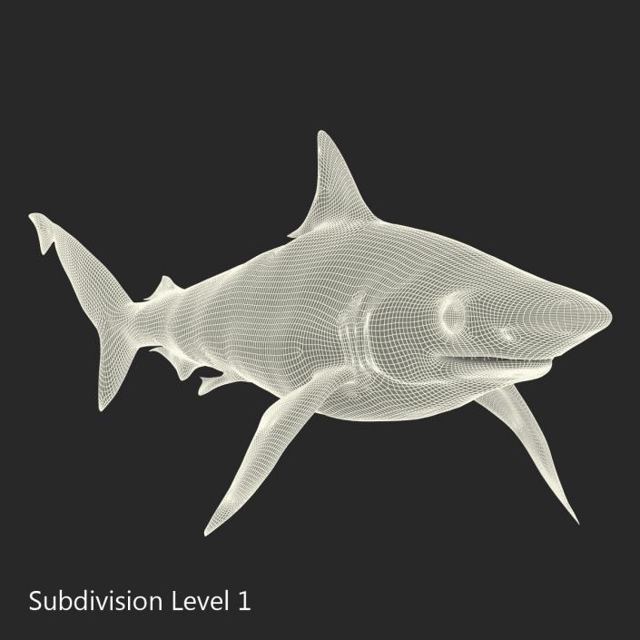 3D model Milk Shark