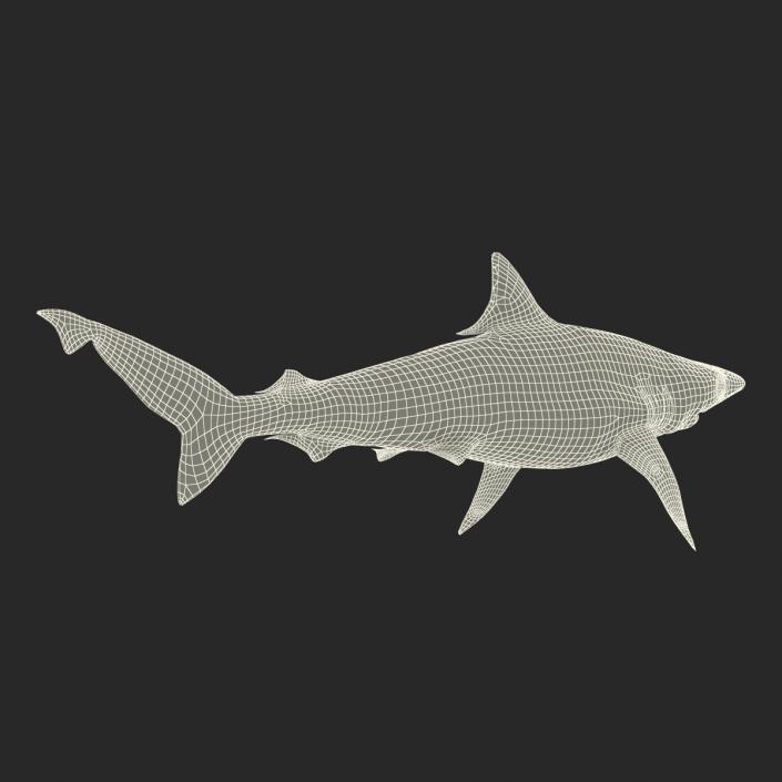 3D model Milk Shark