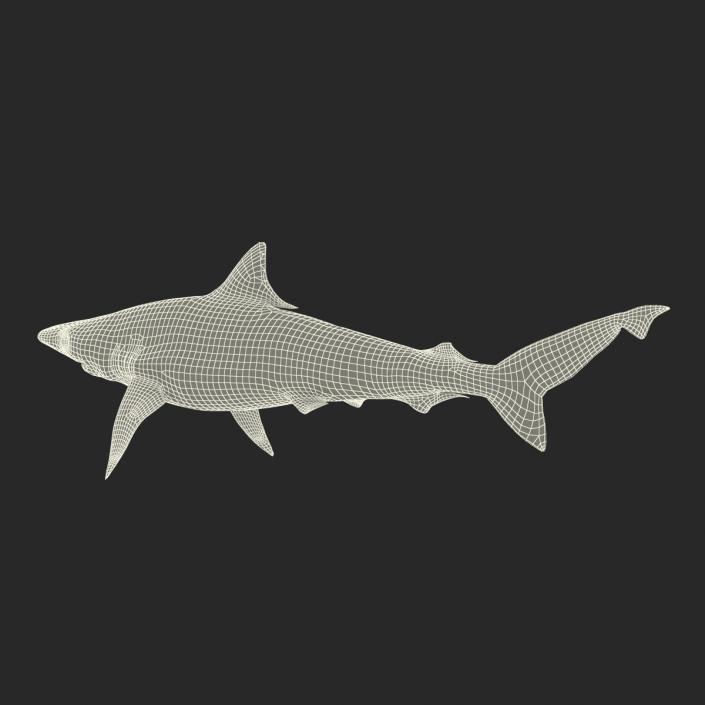 3D model Milk Shark