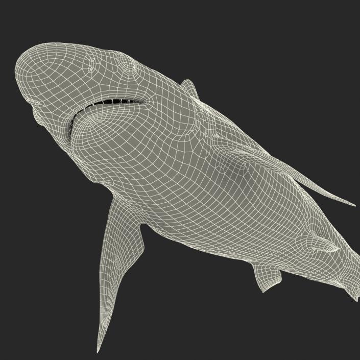 3D model Milk Shark