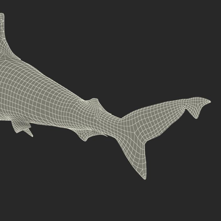 3D model Milk Shark