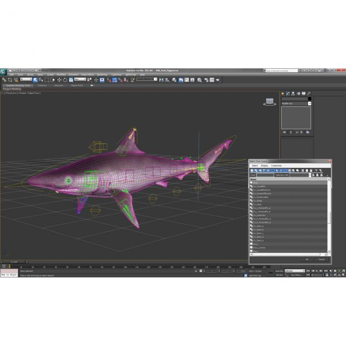 Milk Shark Rigged 3D